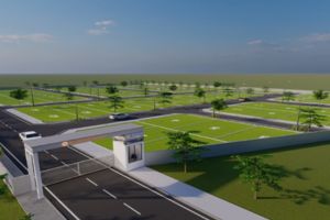 Property Sale and Purchase